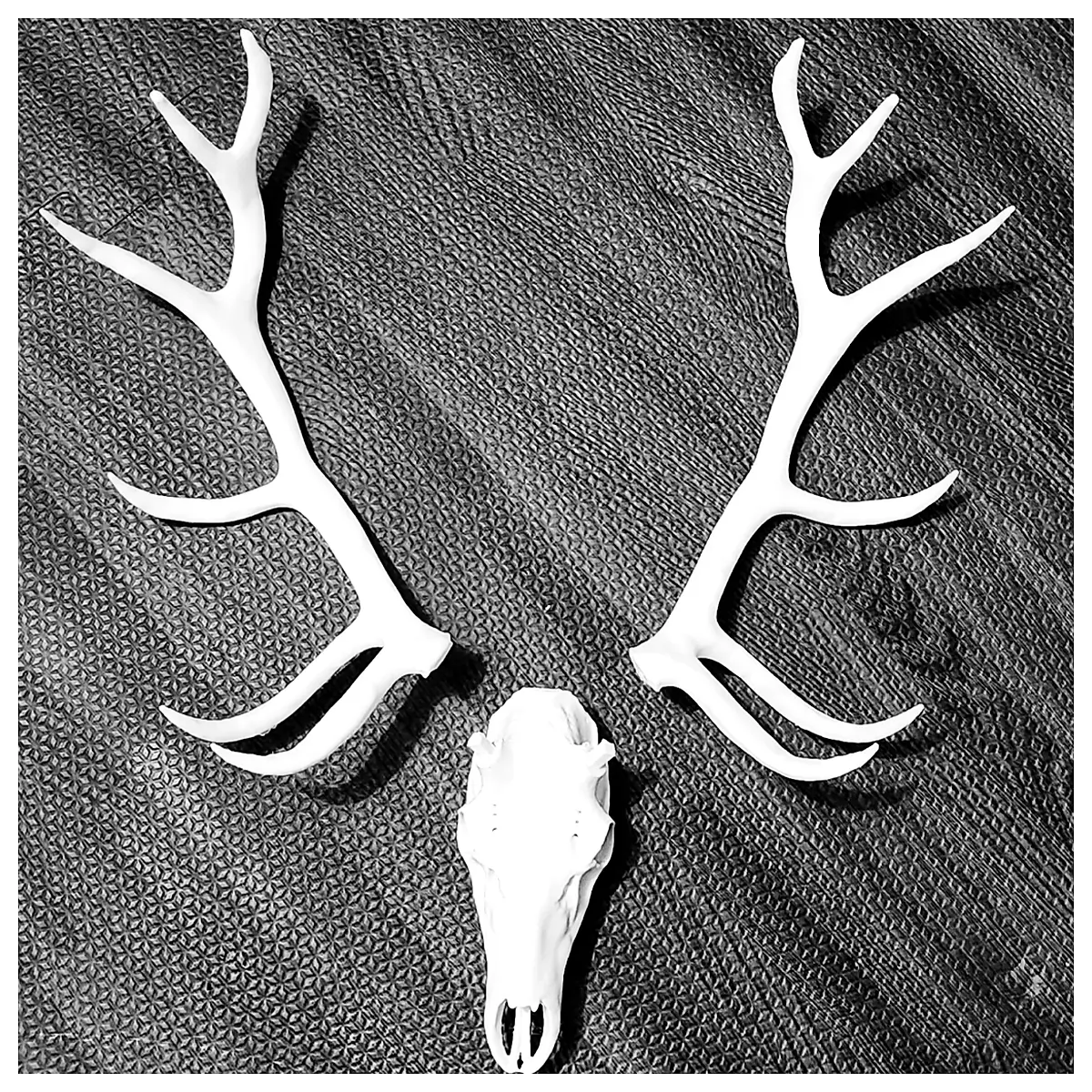 Split Elk Antlers Deer Skull Decor Hunting Accessories Skull Supply Art Decoration Trophy Parts