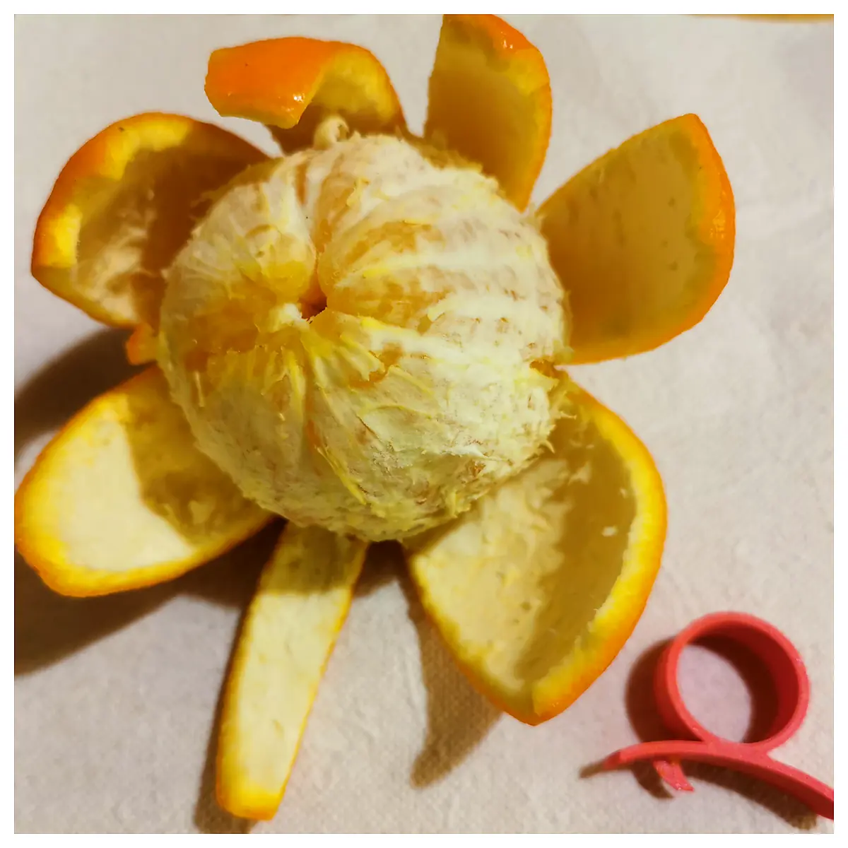 Orange Peeler Citrus Peeler Universal Peel Tool Easy Peeling Fruit Remover Zest Remover