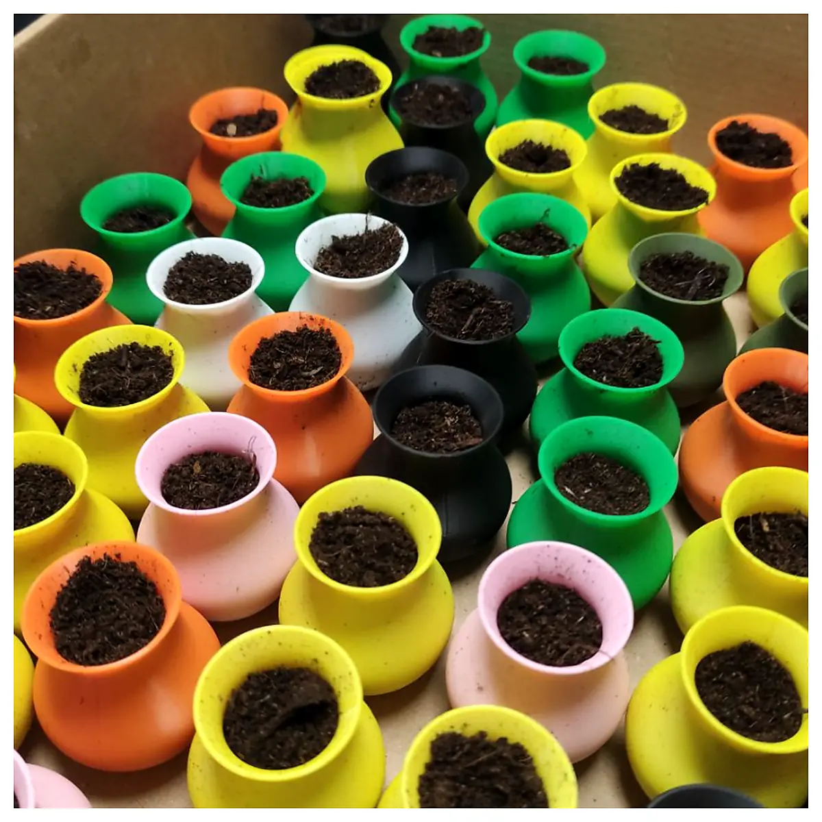 Small Planter Pot Indoor Plant Container Gardening Flower Pot Succulents Planting Care Pruning Universal