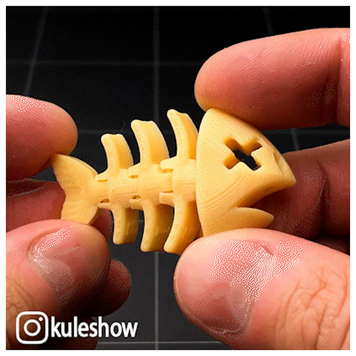 Flexible Fish Bone Keychain Fish Shaped Keyring Pet Decoration Car Key Chain Bone Accessory