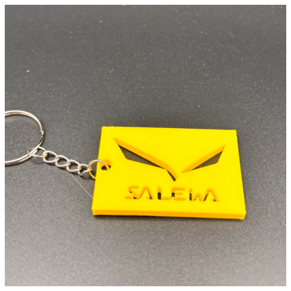 Salewa Keychain Climbing Accessories Outdoor Gear Hiking Equipment Mountaineering Parts Trekking Accessory Keyring Key Chain
