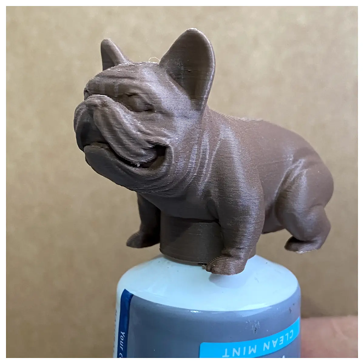French Bulldog Toothpaste Cap Dog Dental Care Cleaning Teeth Oral Hygiene Universal Replacement Parts Toothbrush Accessories