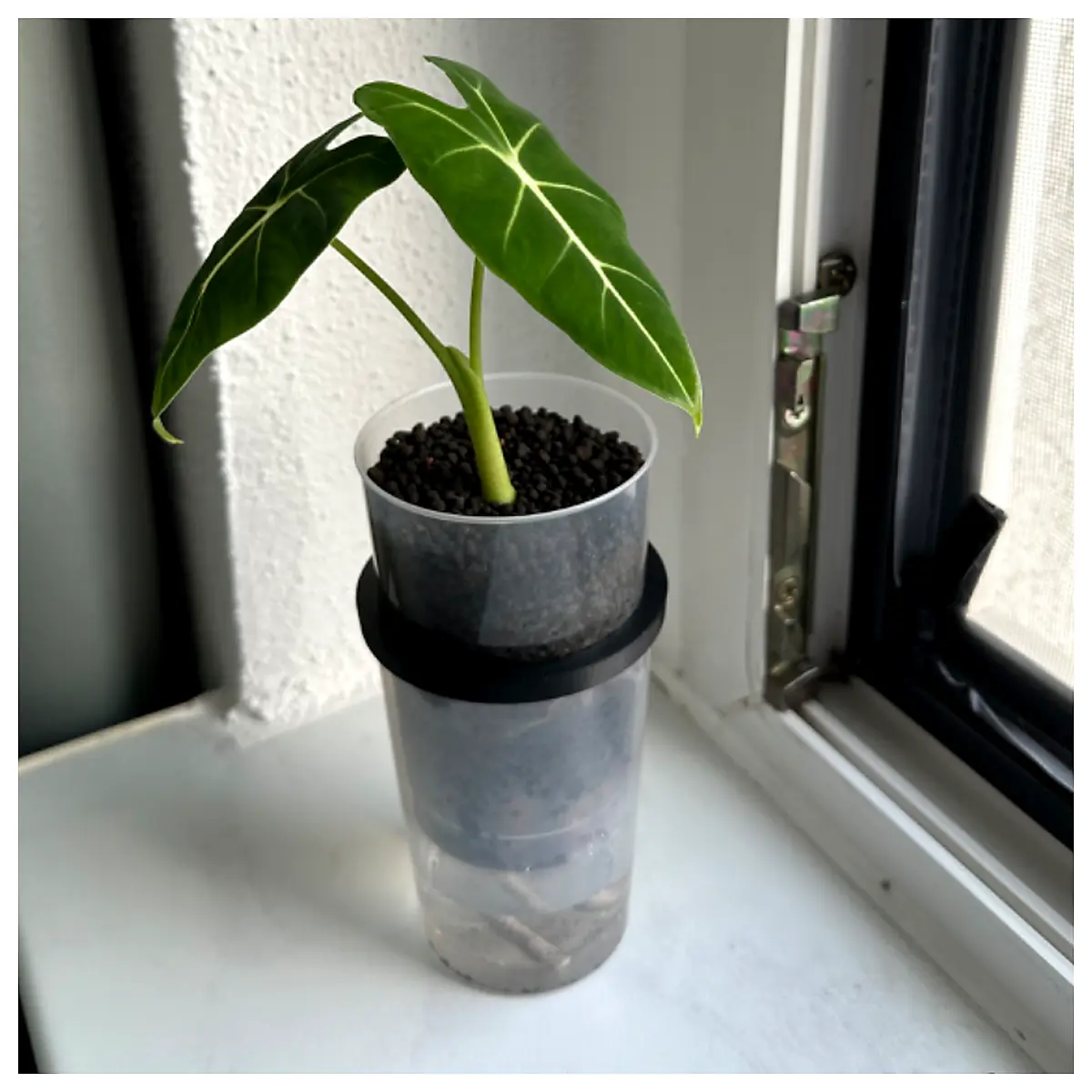 DIY Self Watering Pots Automatic Watering Planters Garden System Plant Accessories Self Watering Device
