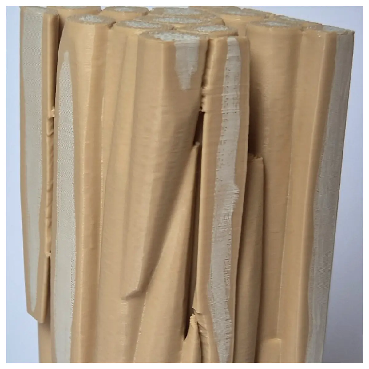 Sclerenchyma Fiber Tissue Model Cellulose Structure Botany Study Cell Biology Research Plant Model Educational Use