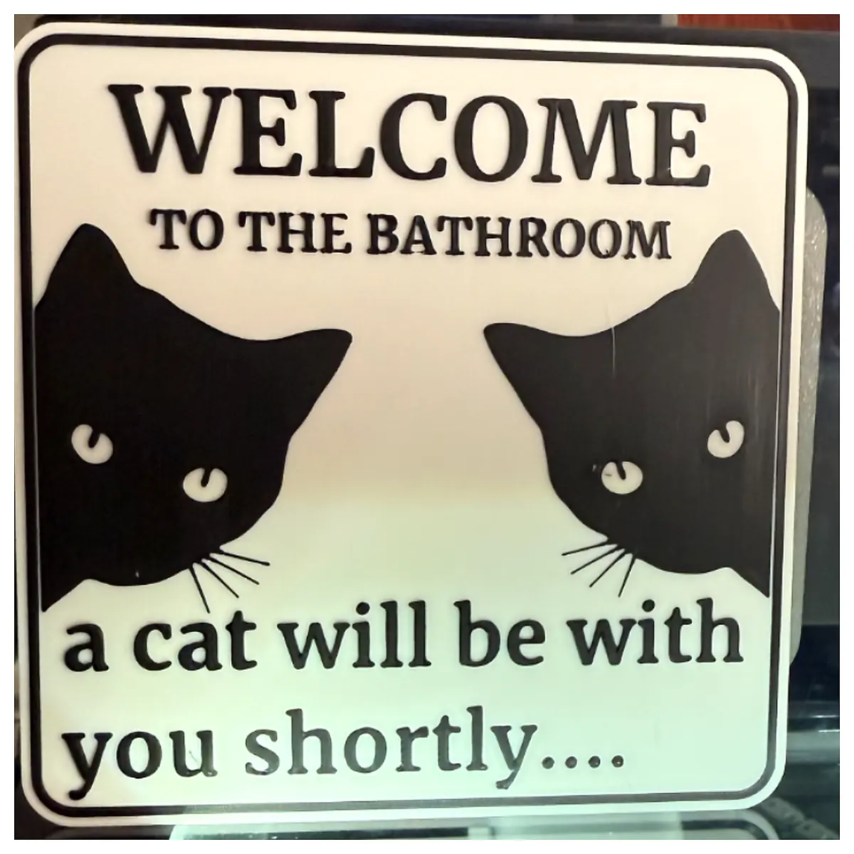 Cat Companion Bathroom Toys Pet Play Interactive Fun Treats Cat Toys