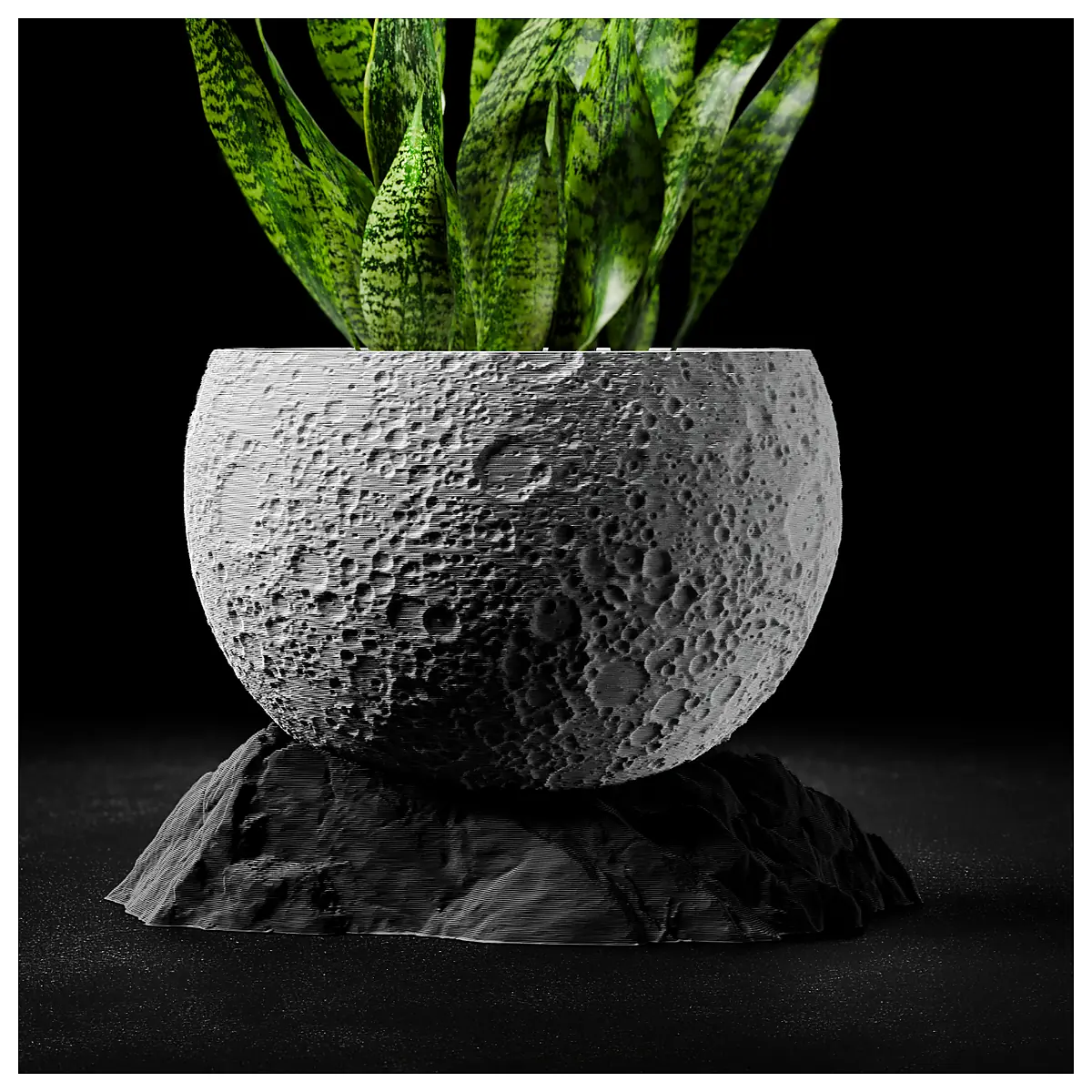 Moon Planter with Base Terrarium Container Plant Holder Succulents Home Decor Green Plants