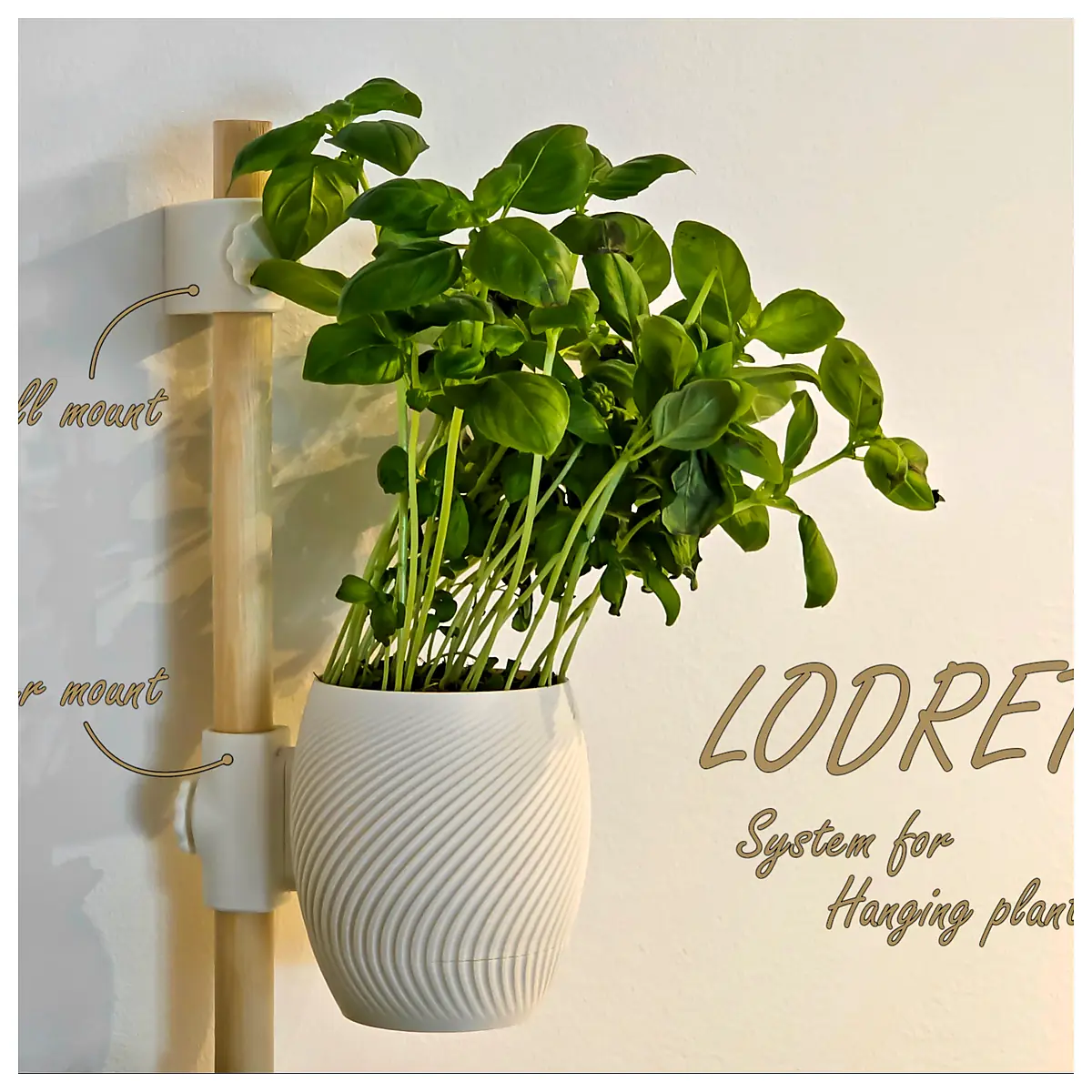 Hanging Planters Indoor Plants Decoration Planters Flower Pots Plant Holders Succulents
