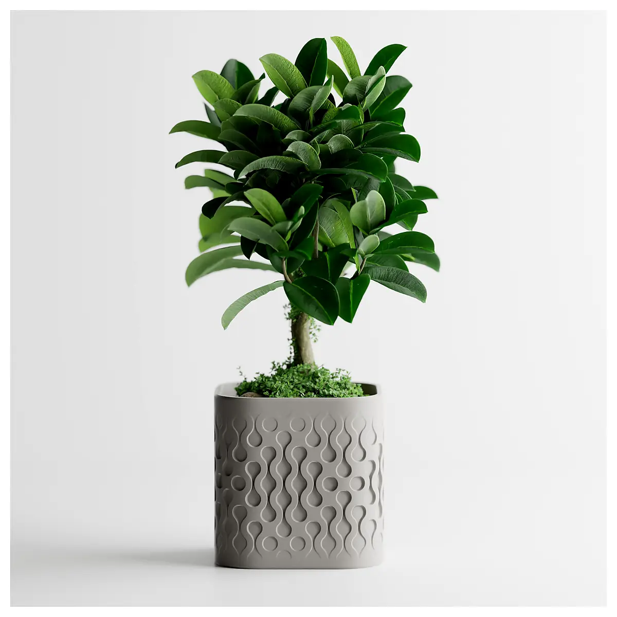 Flowform Plant Pot Watering System Self Watering Pots Accessories Garden Supplies Irrigation Indoor Outdoor Smart Planter