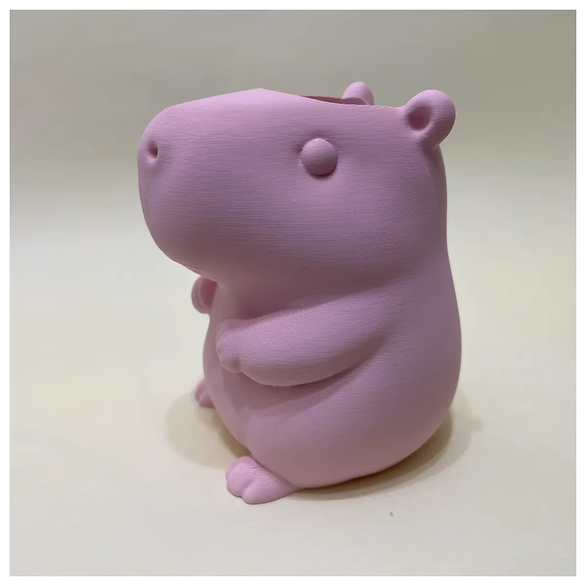 Capybara Pen Holder Aquarium Accessory Multi Use Fish Tank Decor Pet Supplies