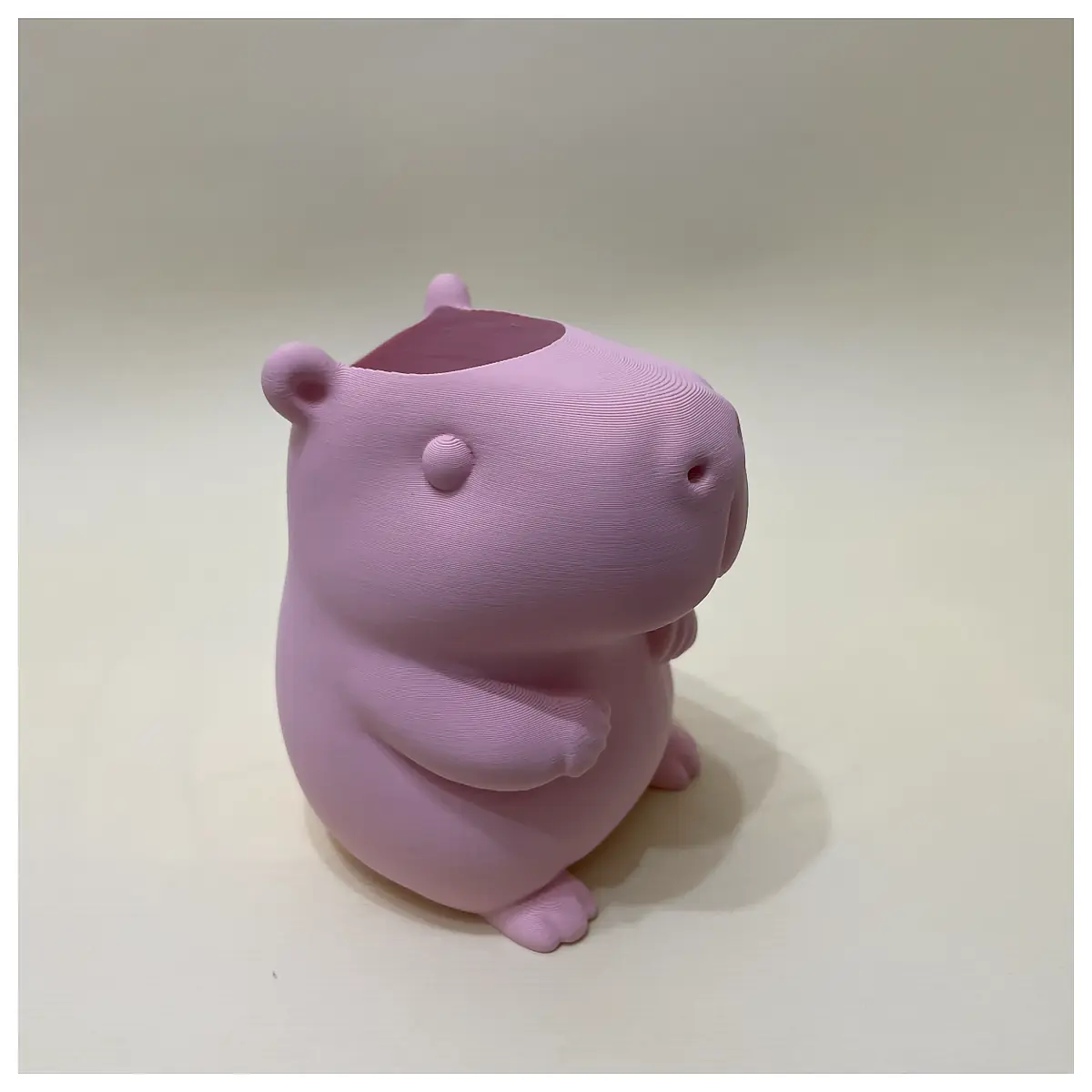 Capybara Pen Holder Aquarium Accessory Multi Use Fish Tank Decor Pet Supplies
