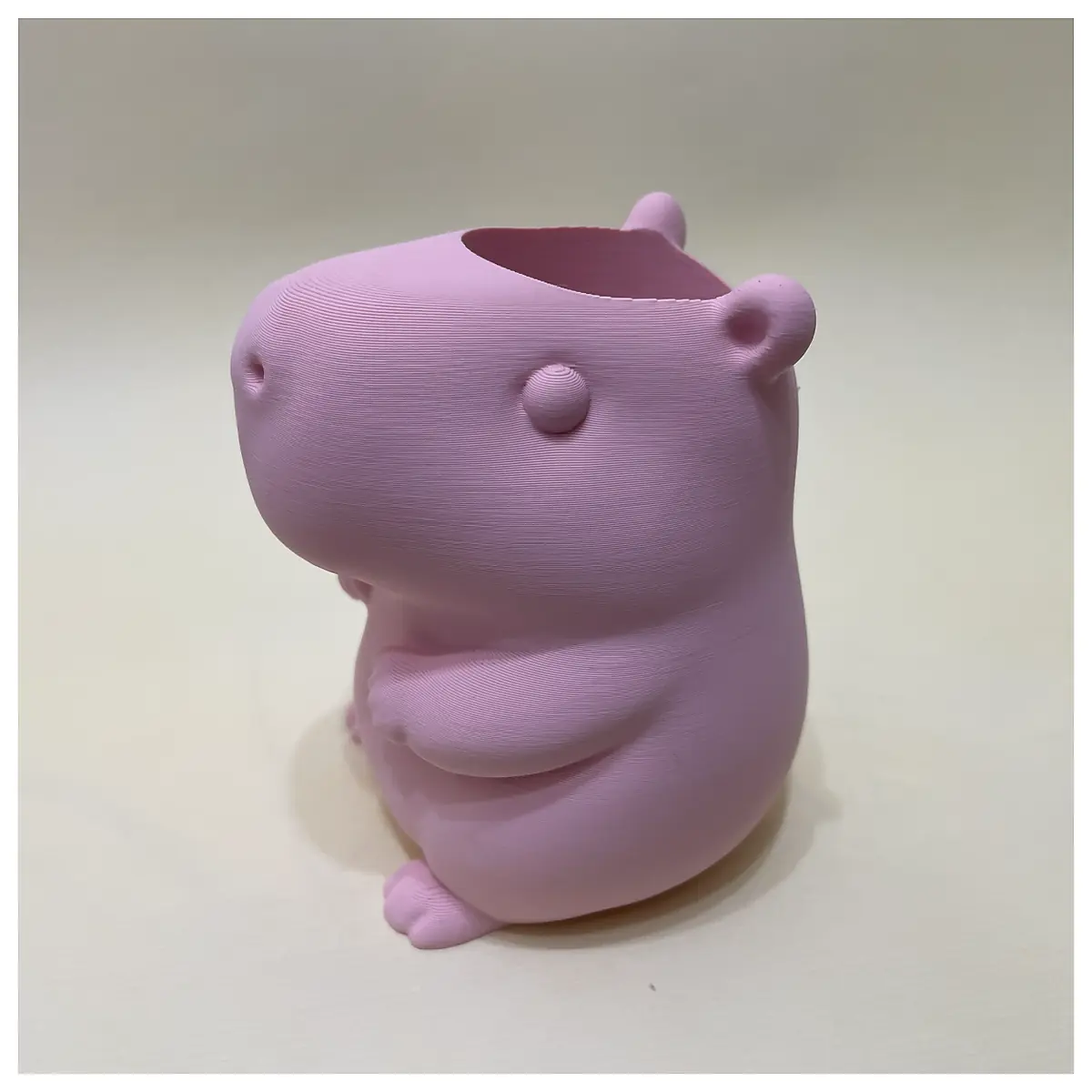 Capybara Pen Holder Aquarium Accessory Multi Use Fish Tank Decor Pet Supplies