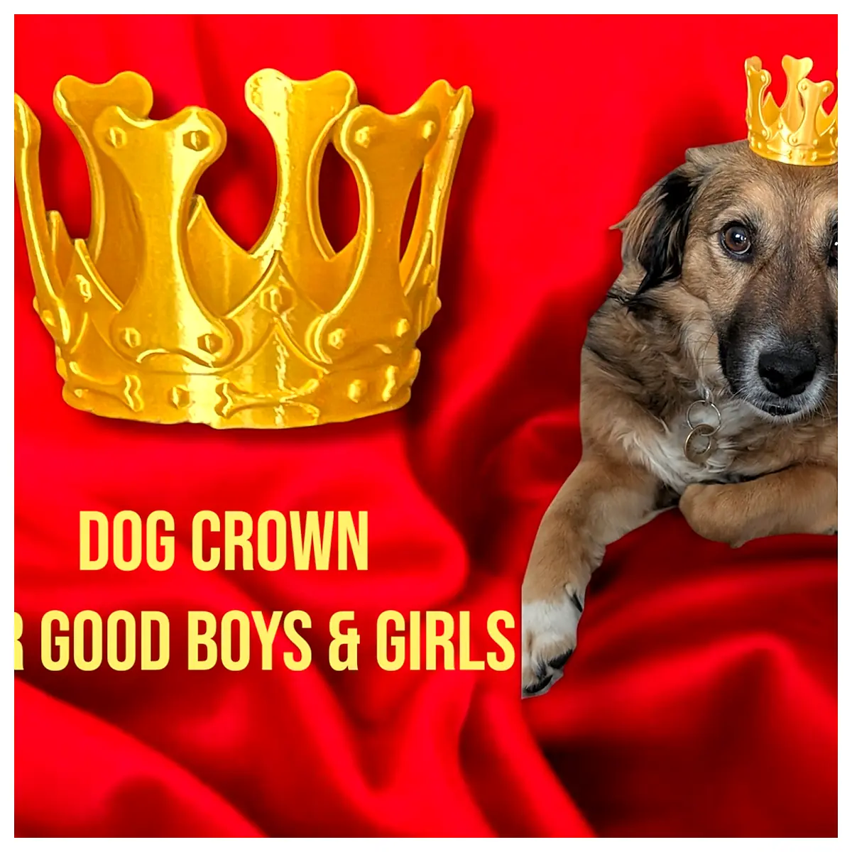 Dog Crown Pet Collar Bone Toys Dog Costume Pet Accessories Pet Supplies Universal Fit