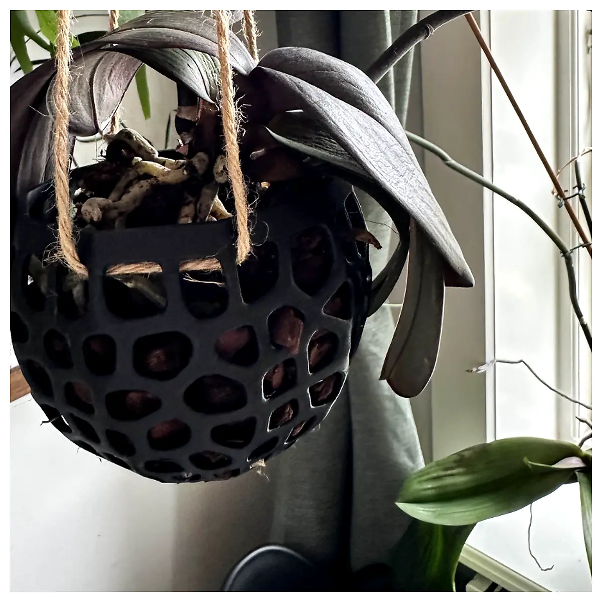 Hanging Orchid Pot Indoor Flower Pot Decorative Planter Succulent Plant Pot Flower Tools