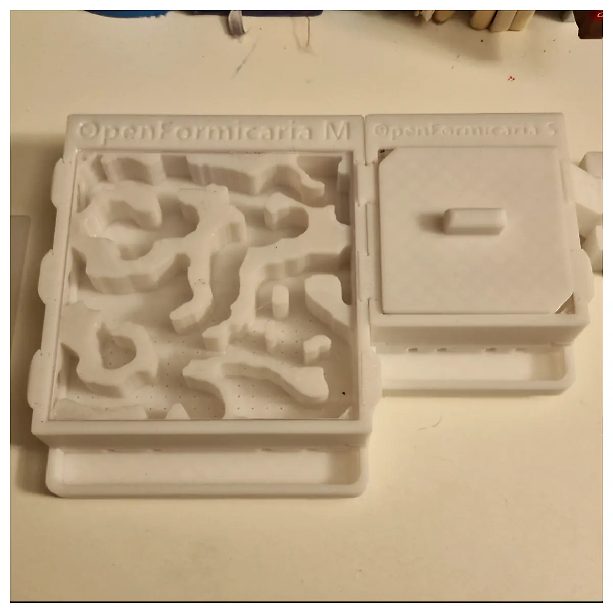 Model Insect Observation Box Ant Specimen Container Mini Ant Simulation Learning Toy Accessories