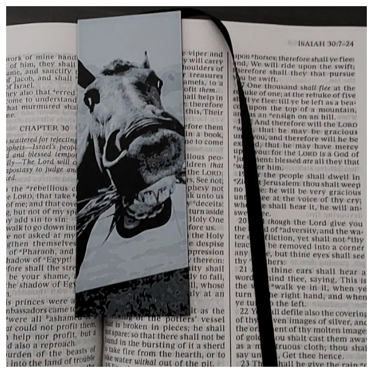 Funny Horse Bookmark Riding Novelty Book Mark Horse Riding Gift Accessory Decoration