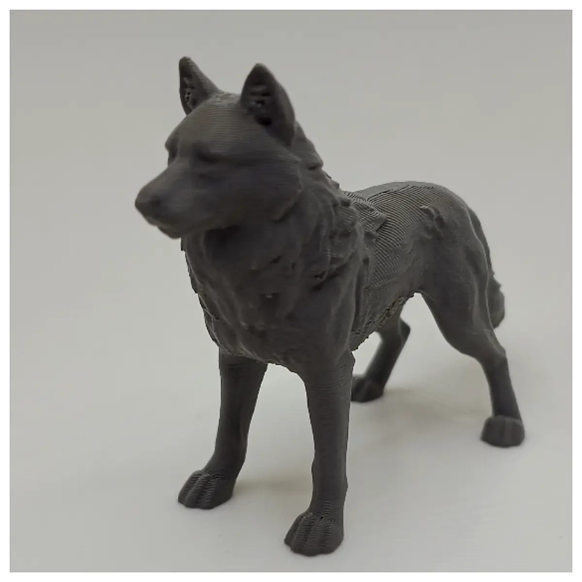 Realistic Wolf Dog Toy Simulation Pet Model Dog Plush Indoor Pet Pet Accessories Pet Toys