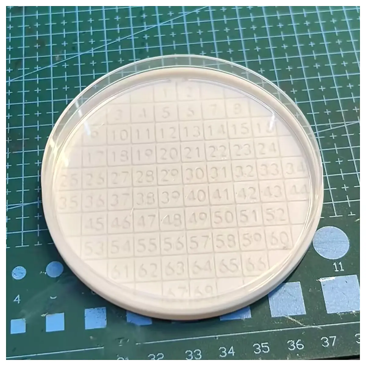Grid Petri Dish Cell Culture Plate Labware Experiment Container Scientific Supplies Research Tool