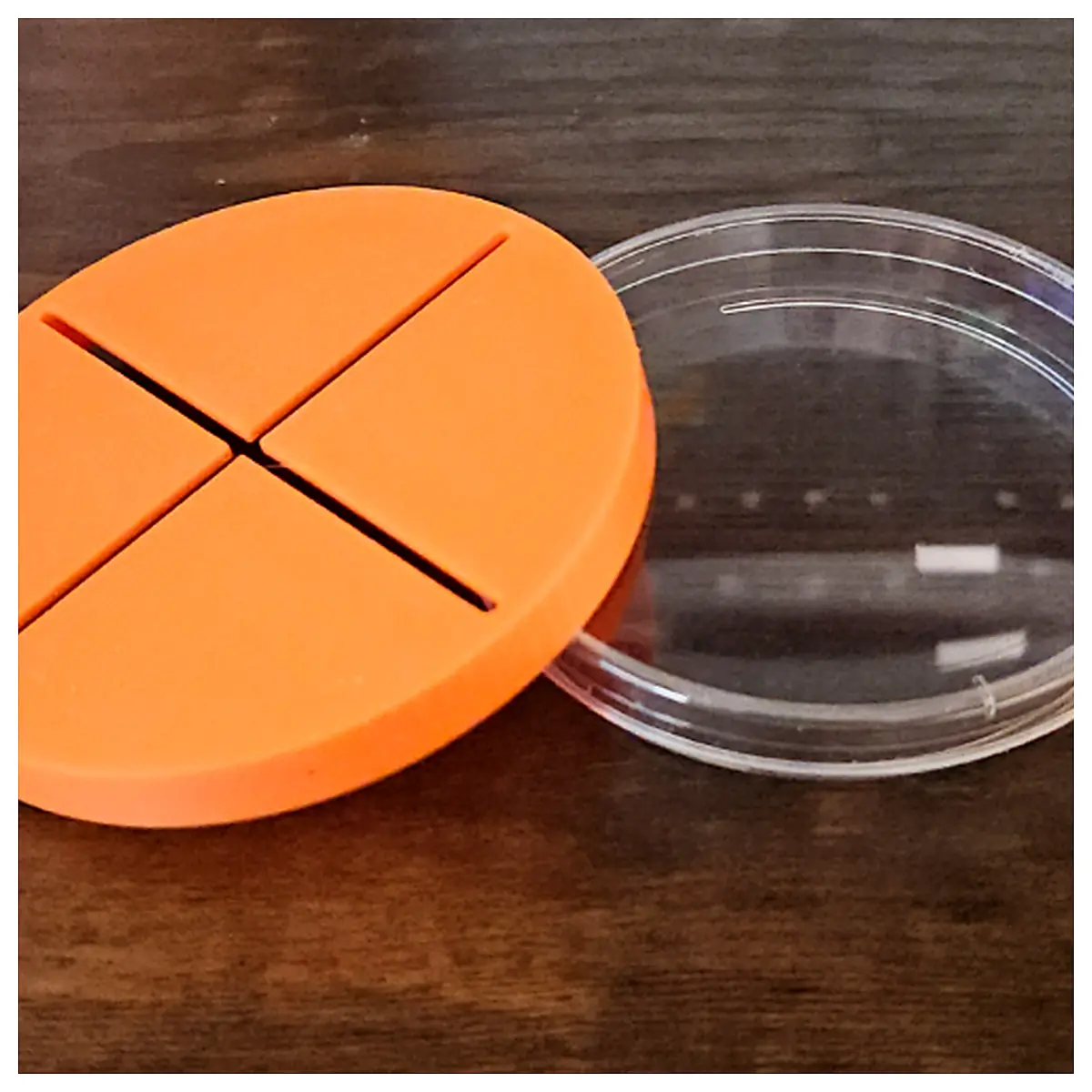 100mm Petri Dish Quadrant Stencil Lab Experiment Cell Culture Area Marking Tube Accessories Cutting Tool