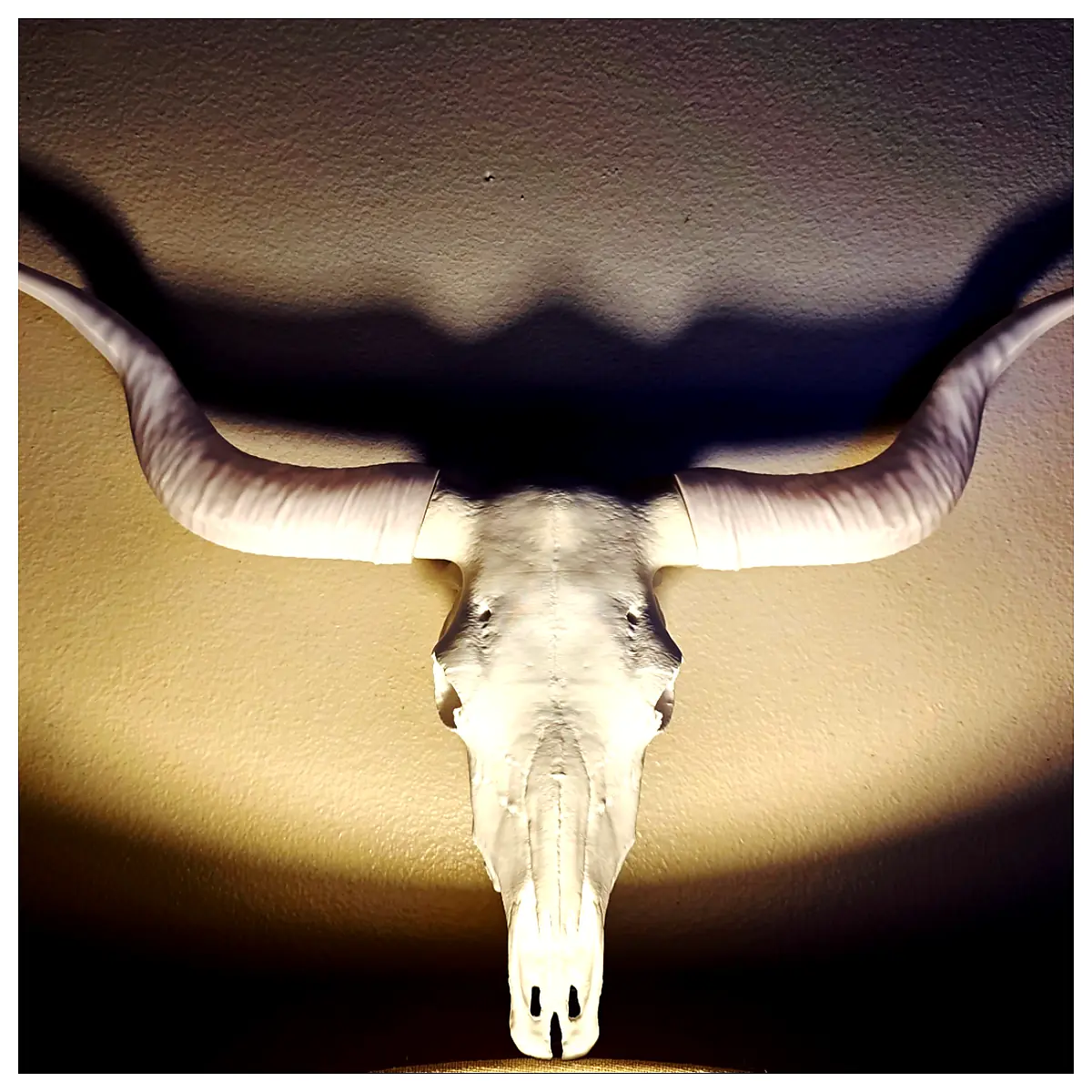 Skull New Skull with Horns Costume Accessory Roleplay Prop Decoration Skull Parts