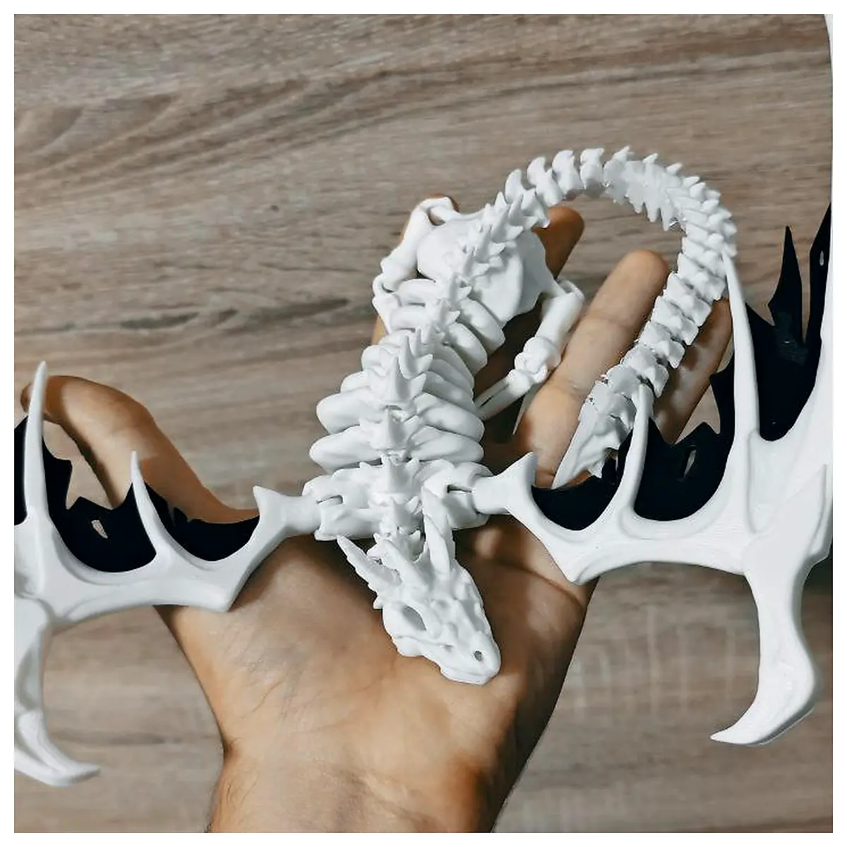 Hollow Bone Wyvern Toy Skeleton Model Dinosaur Figure Collectible Joints Movable Dinosaur Parts