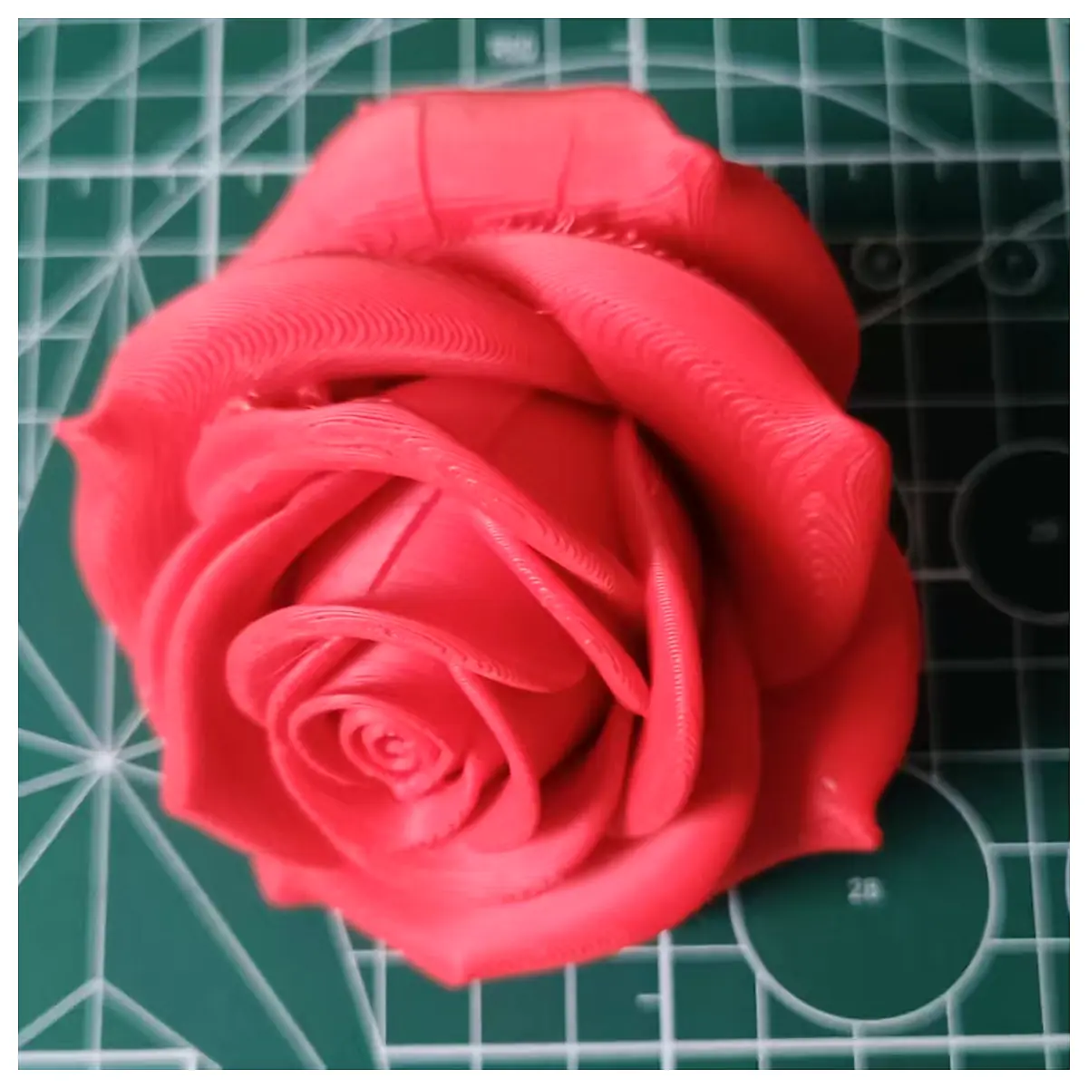 Rose Petal Gifts Rose Artificial Flowers Fresh Roses Gift Beauty Bouquet Romantic Flowers