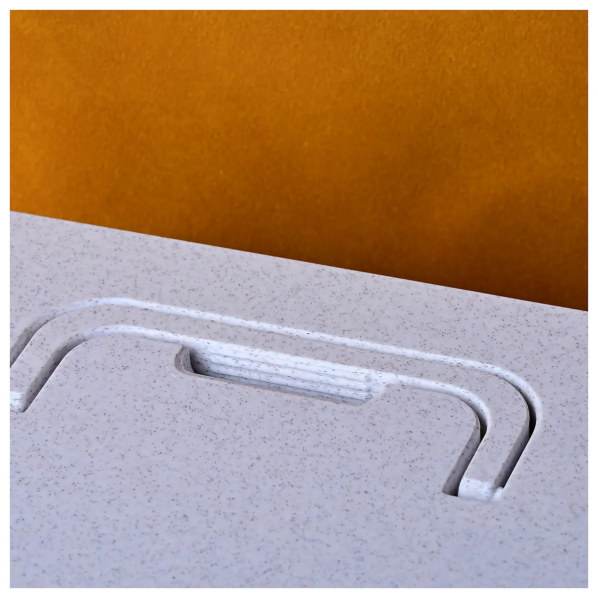 Portable Storage Case Print in Place Spring Latch Parts Repair Universal Accessories