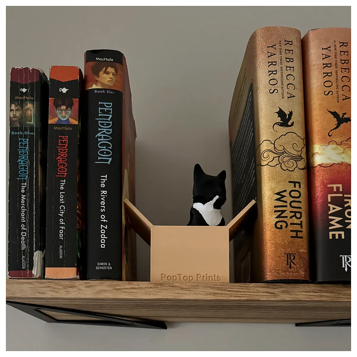 Cat in the Box Booknook Cat Toy Bookshelf Kitten Reading Nook Pet Cat Shelf Indoor Cat Toys Puzzle Cat Shelf Interactive Cat Book