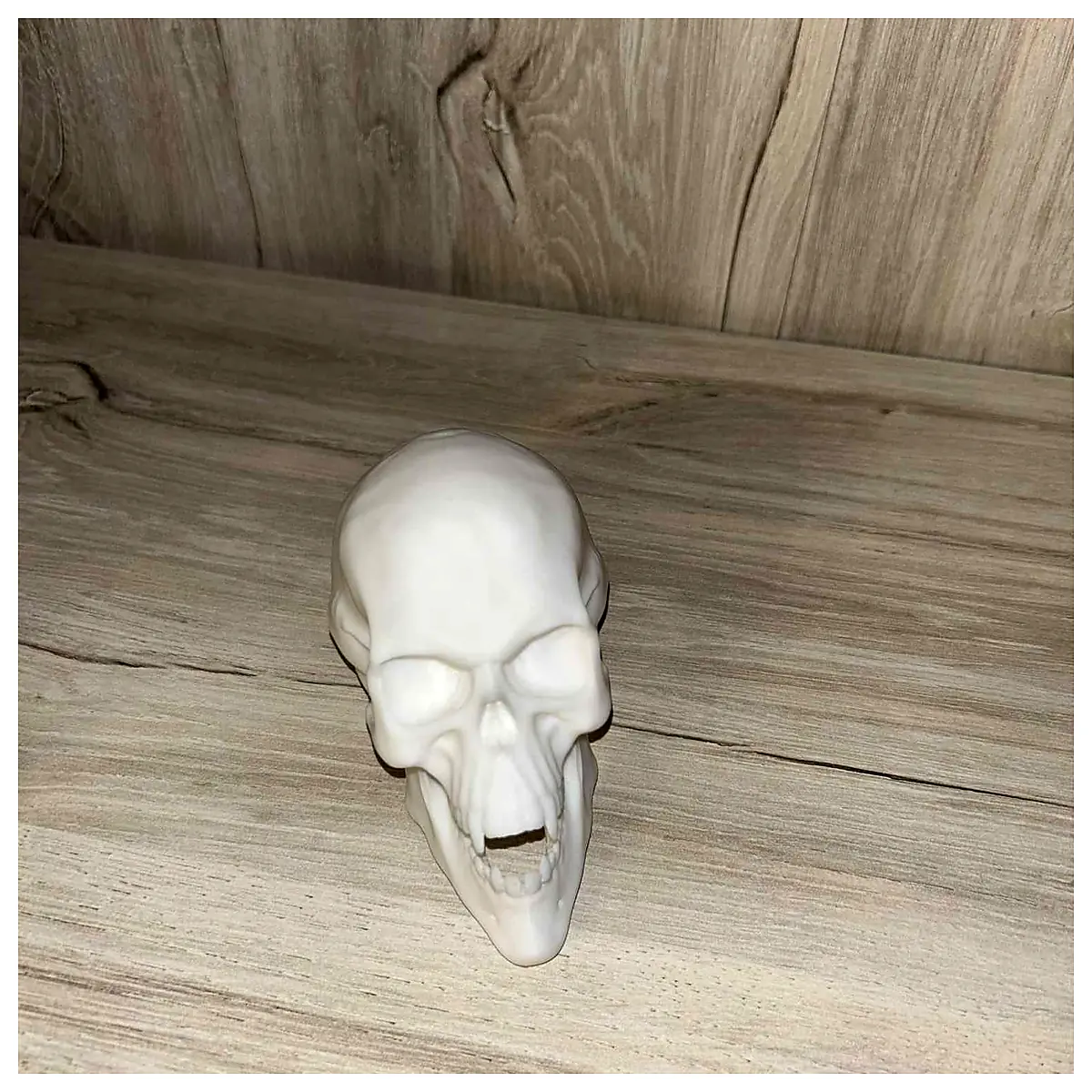 Vampire Skull Gothic Decor Horror Prop Cemetery Decoration Roleplay Accessory Dark Art Piece Spooky Display Mortuary Theme