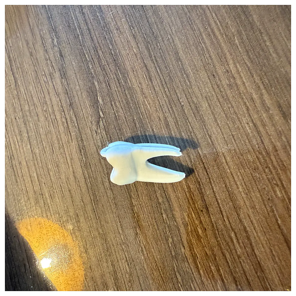 Dental Keychain Tooth Charm Dental Model Tooth Memorial Tooth Decoration Tooth Gift Upper Molars Accessory
