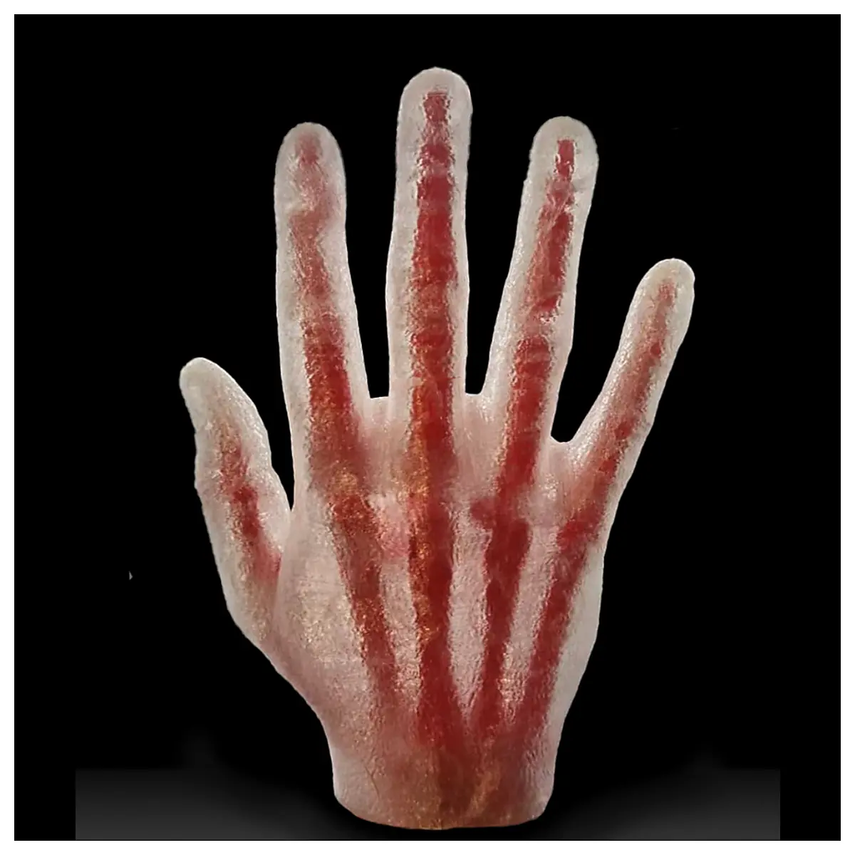 Skeleton Hand Model Joint Practice Tool Anatomical Hand Model Bone Learning Exercise Wrist Trainer Skeleton Accessories Hand Model