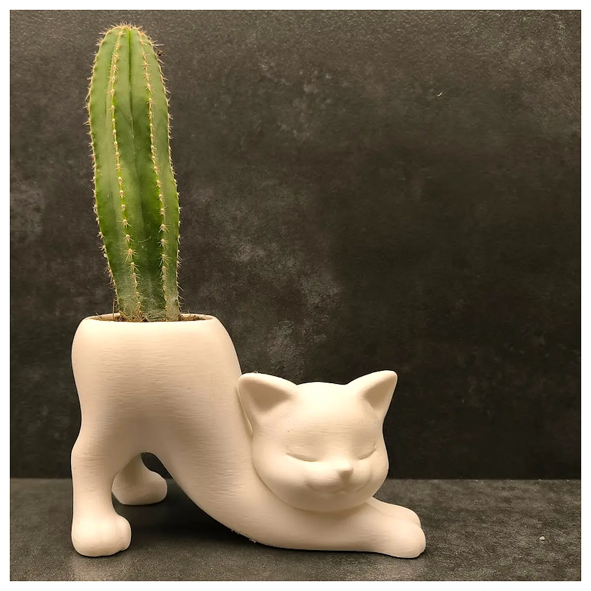 Cat Planter Pet Pot Indoor Cats Cat Supplies Cat Litter Box Food Toys Grooming Accessories