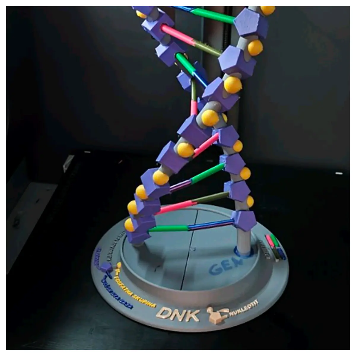 DNA Testing Genetic Testing Diagnostics Health Genomics Analysis Genetic Disease Detection Services Genomic