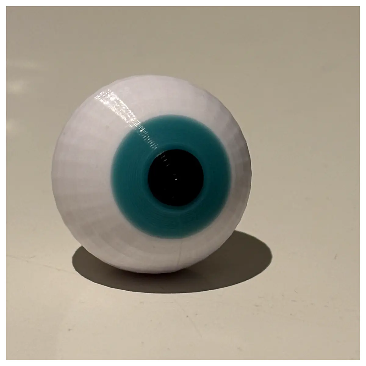 Eyeball Model Practice Eyeball Anatomy Model Medical Eyeball Lab Supplies Learning Eyeball Simulation Eyeball