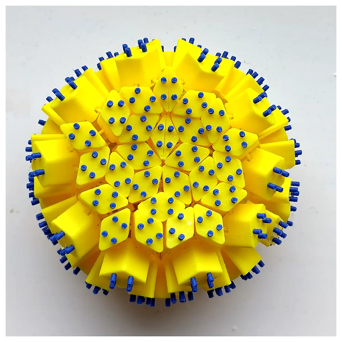 Sea Urchin Gripper Flexible Sea Urchin Harvesting Tools Seafood Tools Grippers Catching Accessories