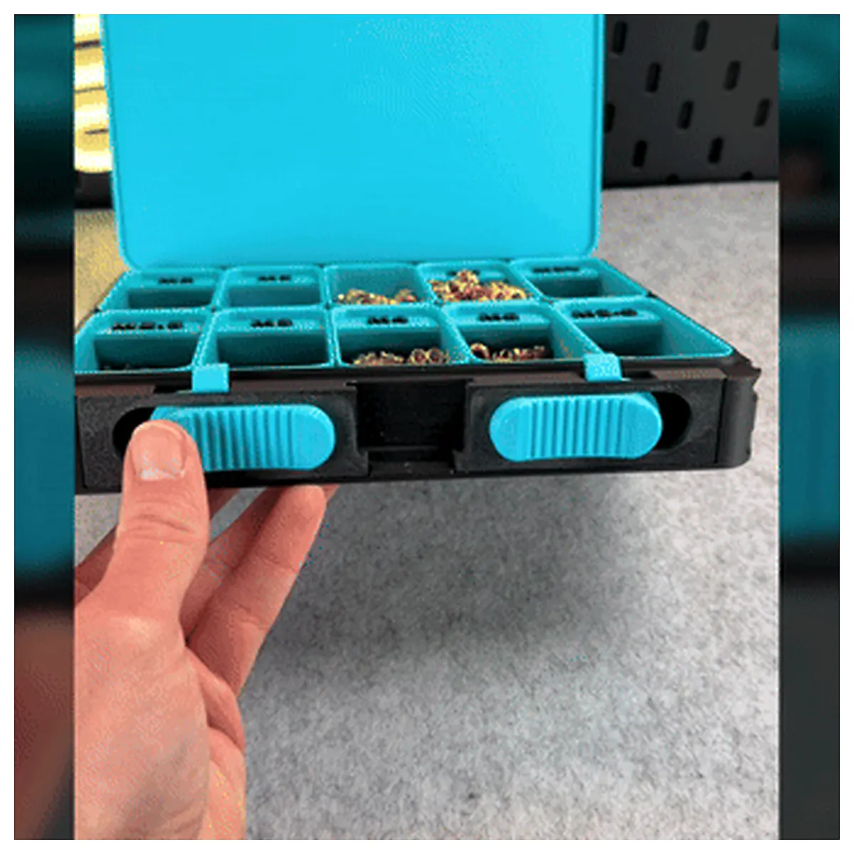 XL Organizer Box Large Storage Box Pro Maximize Space Parts Accessories Storage Solutions