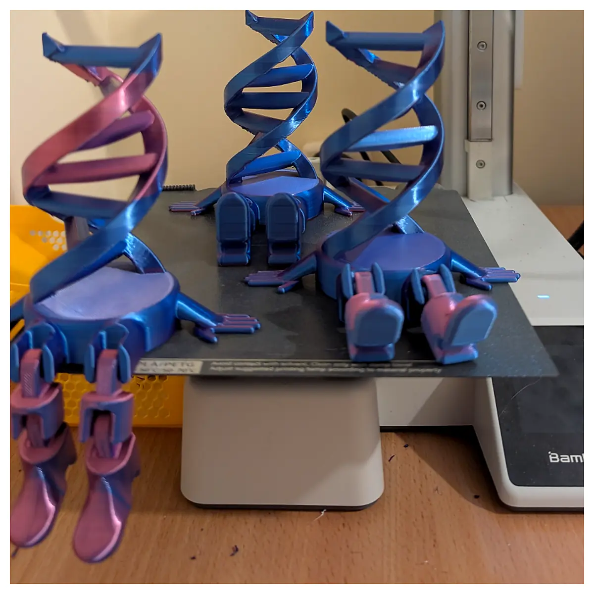 DNA Buddy Double Helix Desk Toy Molecular Model Science Education Helix Learning Genetic Research STEM Toy