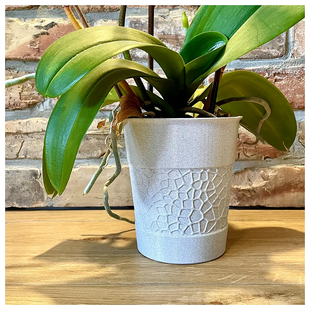 Voronoi Planter Flower Pot Orchid Pot Bonsai Container Flower Plant Pot Universal Planter Parts Repair