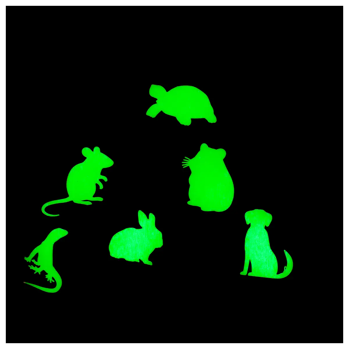 Glow in the Dark Apparel Women s Fluorescent Jackets Party Costumes Event Wear Stage Outfits Bright Clothing Party Gear