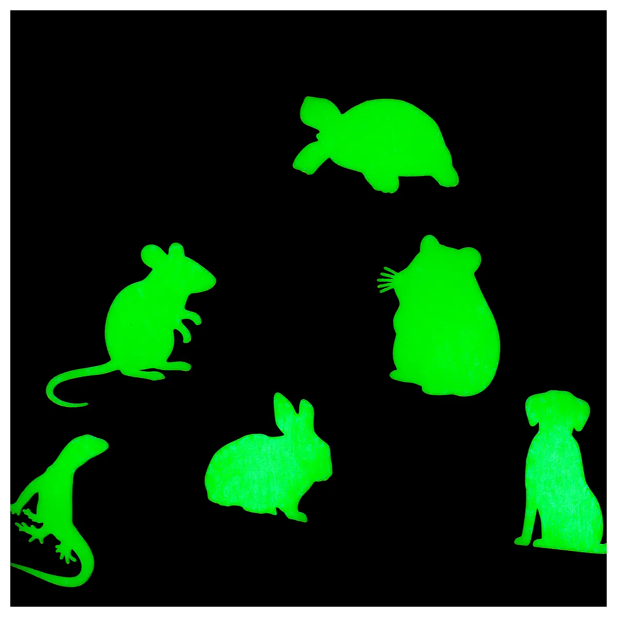 Glow in the Dark Apparel Women s Fluorescent Jackets Party Costumes Event Wear Stage Outfits Bright Clothing Party Gear