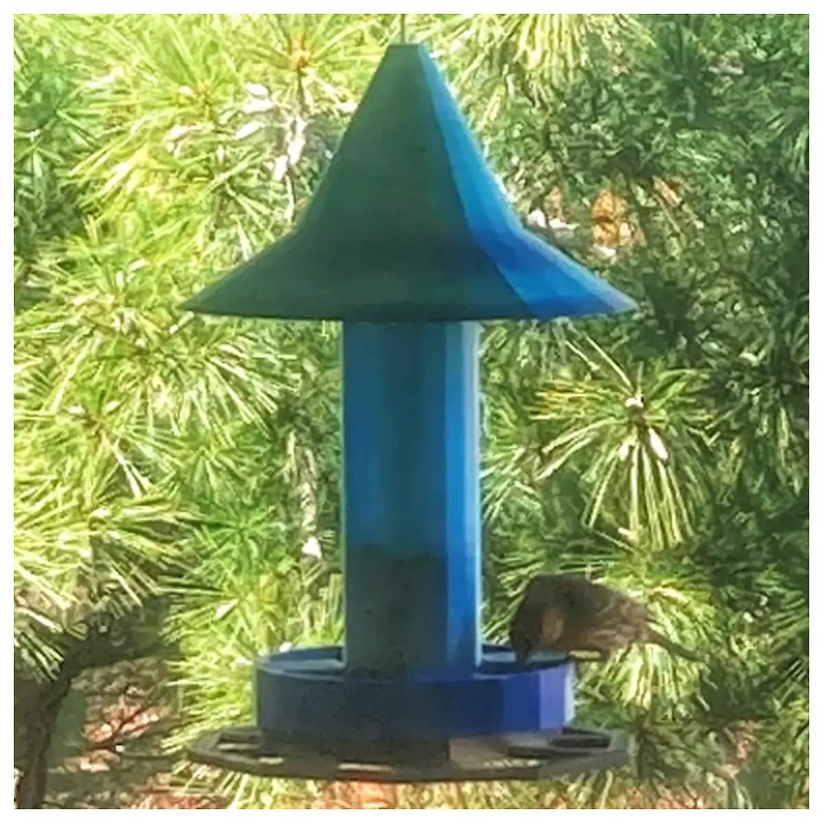 Squirrel Proof Bird Feeder Bird Food Holder Outdoor Bird Feeder Accessories Hanging Bird Feeder Bird Feeding Supplies Birdhouse Parts