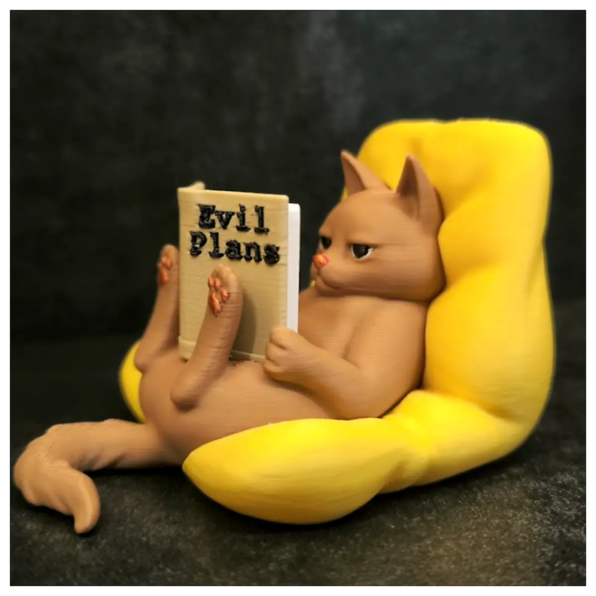 Reading Cat Reading Device Reading Reader E reader Digital Reader Learning Tool Learning Device Reading Accessories