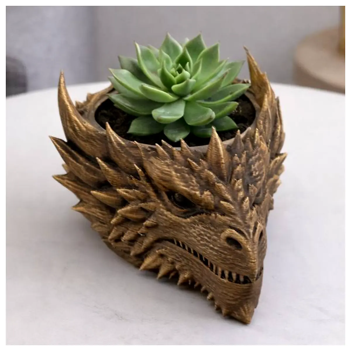Dragon Planter Ceramic Pot Bonsai Plants Indoor Plants Succulents Flower Pot Accessories Dragon Decor