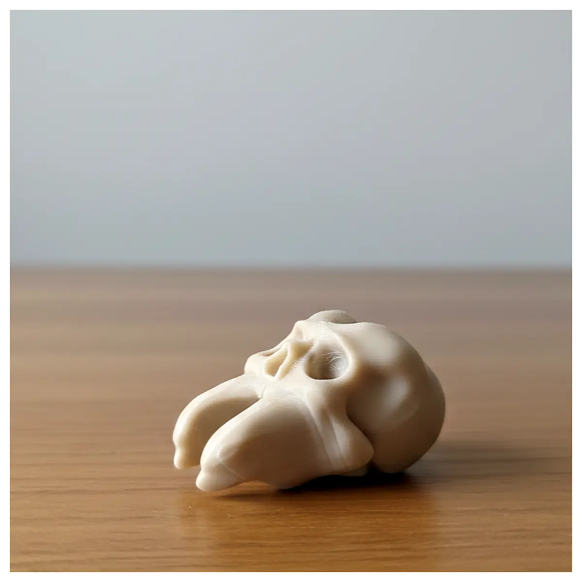 Skull Tooth Keychain Skull Decoration Demon Teeth Horror Teeth Dental Model Teeth Toy for Cosplay Collection Gifts