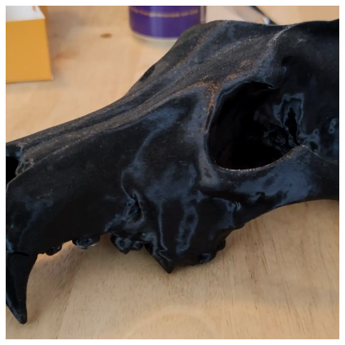 Wolf Skull Anatomical Model Bone Decor Display Animal Skeleton Cemetery Decoration Bone Art