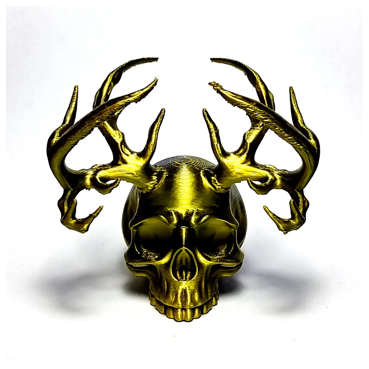 Skull Trophy Skeleton Decoration Prop Scene Props Game Props Skull Wholesale Cemetery Decoration Decorative Skull Accessories