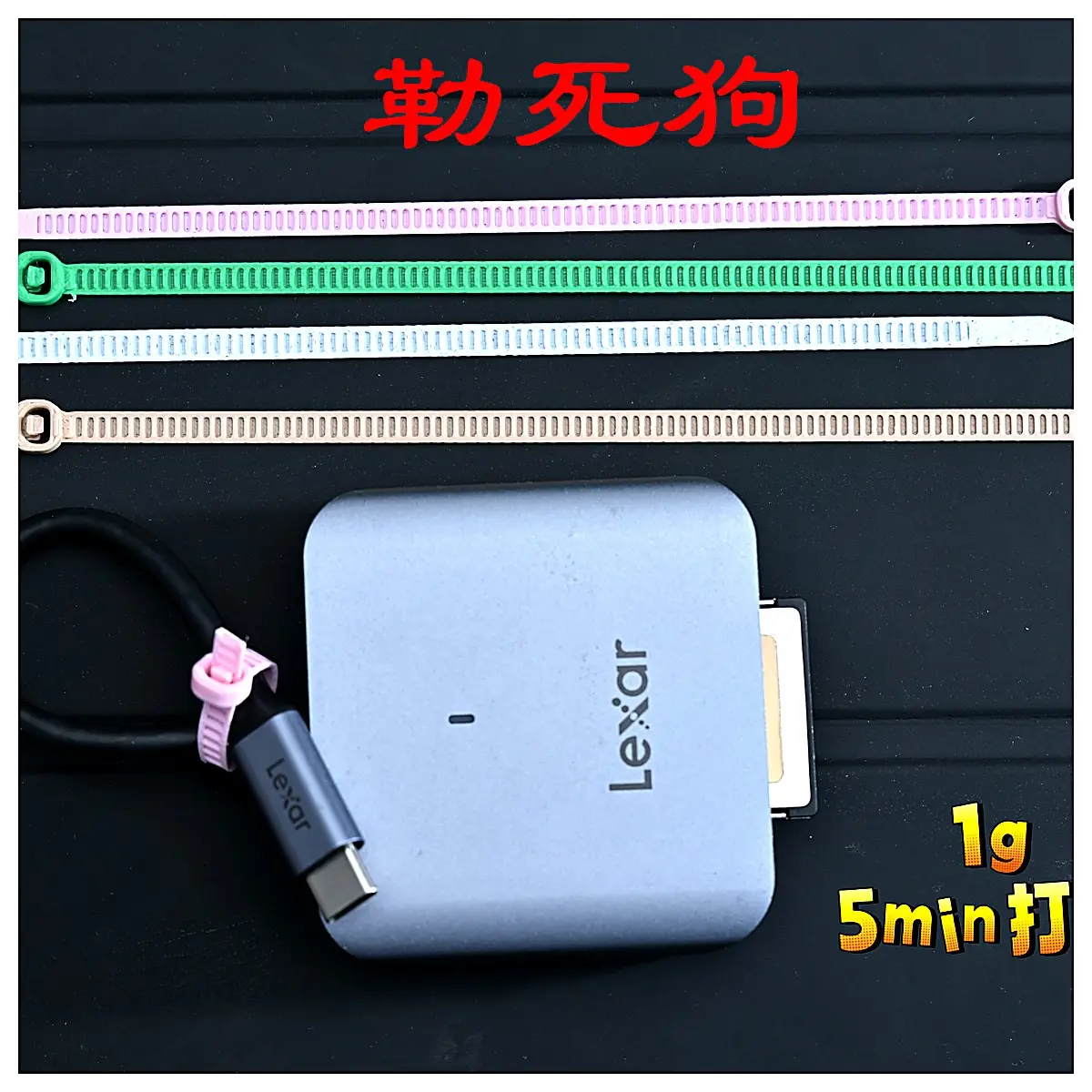 Dog Restraint Device Quick Locking Tie Down Straps Pet Safety Lock Dog Chain Accessories Fast Strapping Tie Down