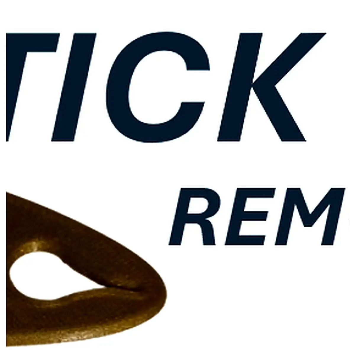 Retired Tick Remover Tick Eliminator Tick Repellent Outdoor Control Tick Killer Mosquito Deterrent