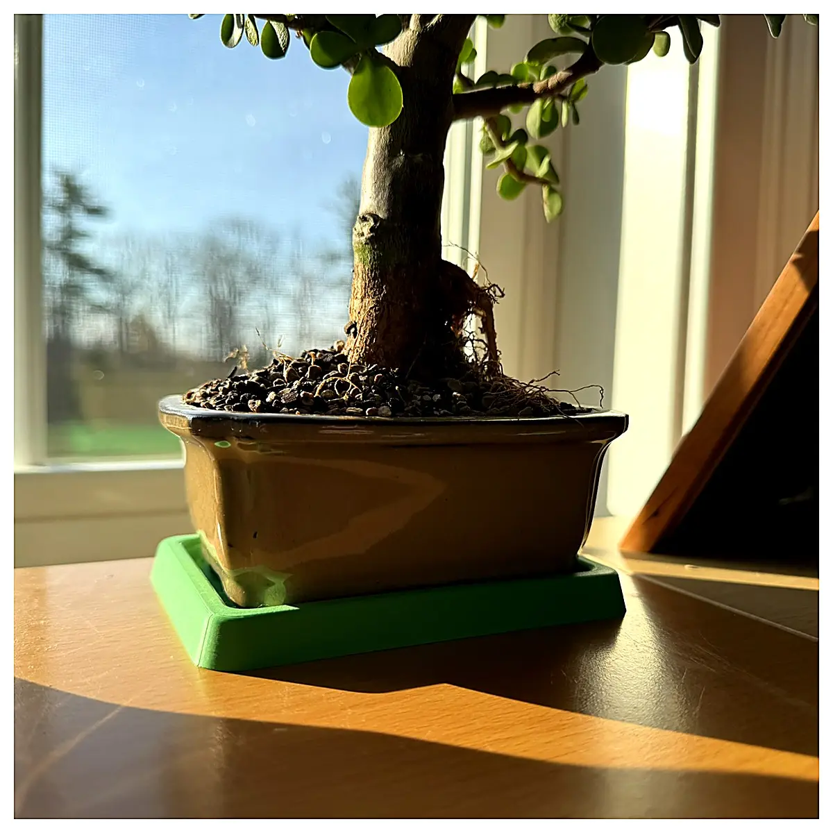 Bonsai Tray Bonsai Submersible Bonsai Pot Bonsai Supplies Bonsai Accessories Bonsai Care
