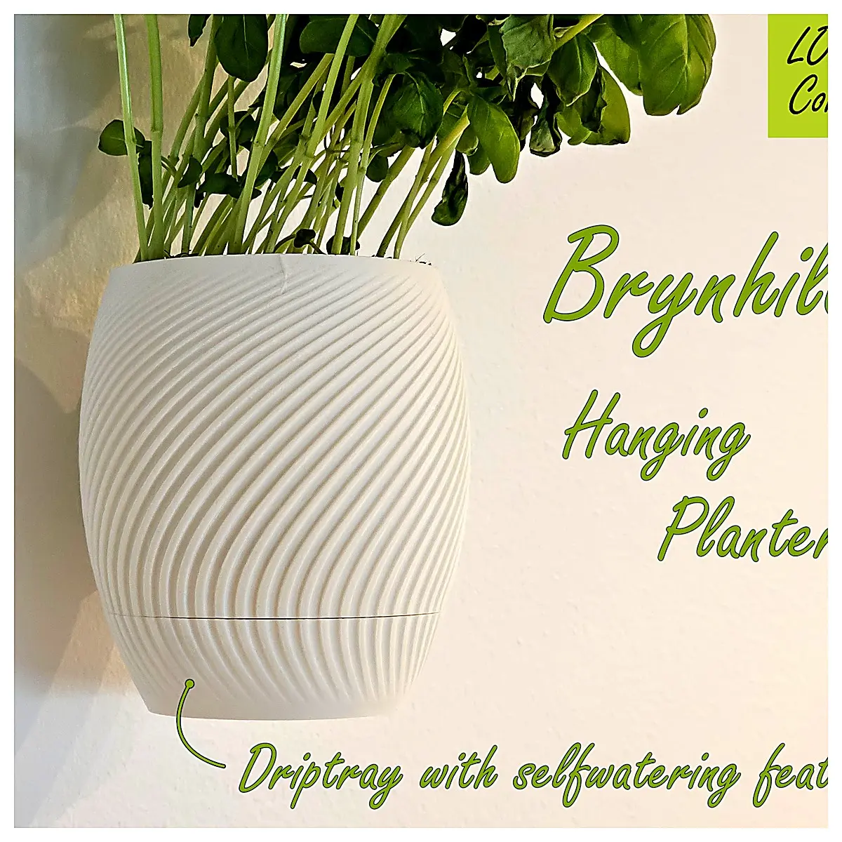 Hanging Flower Pot Basket Holder Compatible with LODRET System Indoor Plants Flower Rack Planter Green Plants