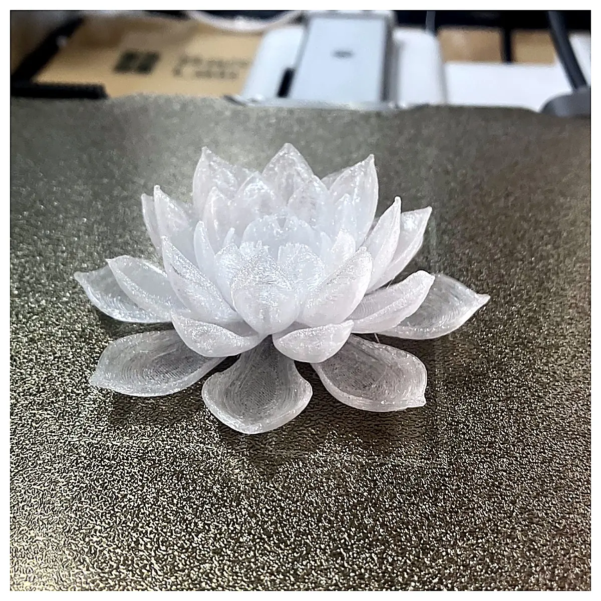 Water Lily Plant Floating Potted Plant Indoor Fern Houseplant D cor Decorative Foliage Peace Lily Snake Plant Green Plant Accessories